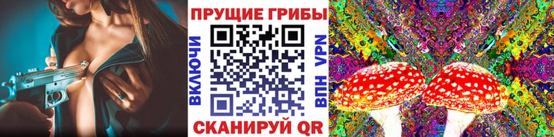 дарнет шоп  Покачи  Галлюциногенные грибы прущие грибы 